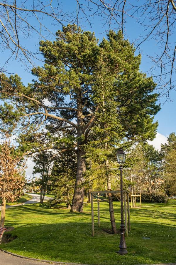 Superbe Appartement En Hyper Centre, Proche Plage Аркашон Екстер'єр фото